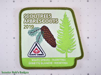 2019 Scoutrees